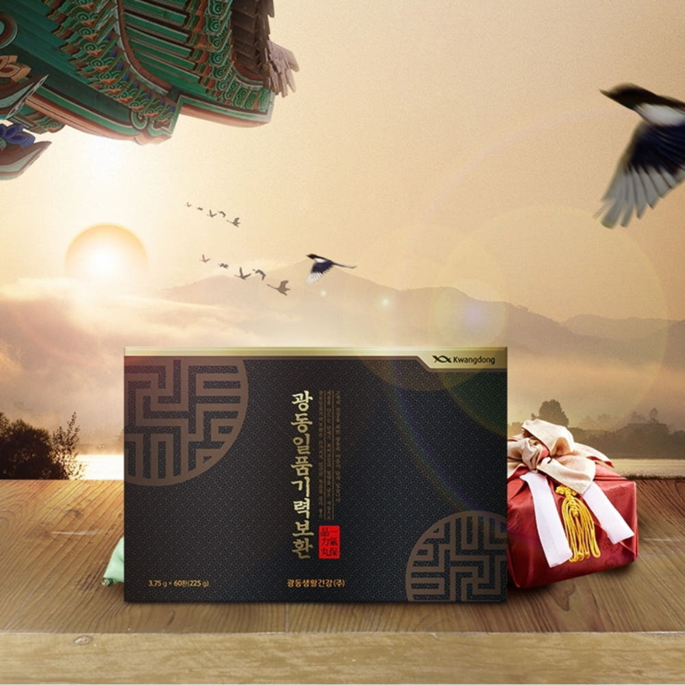 광동 일품기력보환