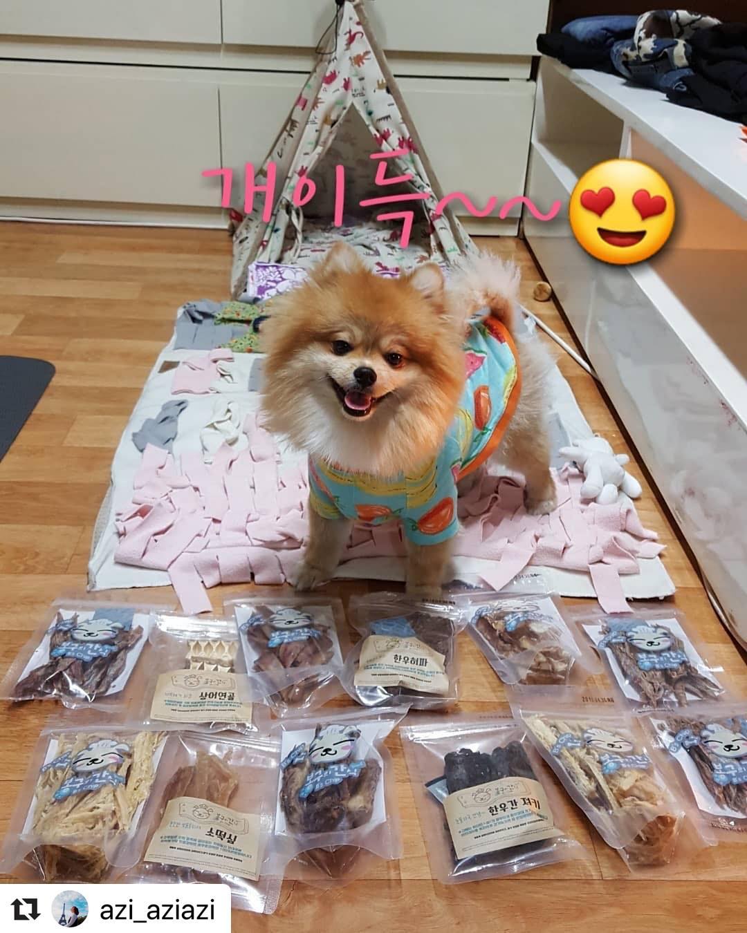 봉구의간식 강아지 반려견 애견 개껌 천연 보양식 수제간식 우족껌 70g 이미지 8