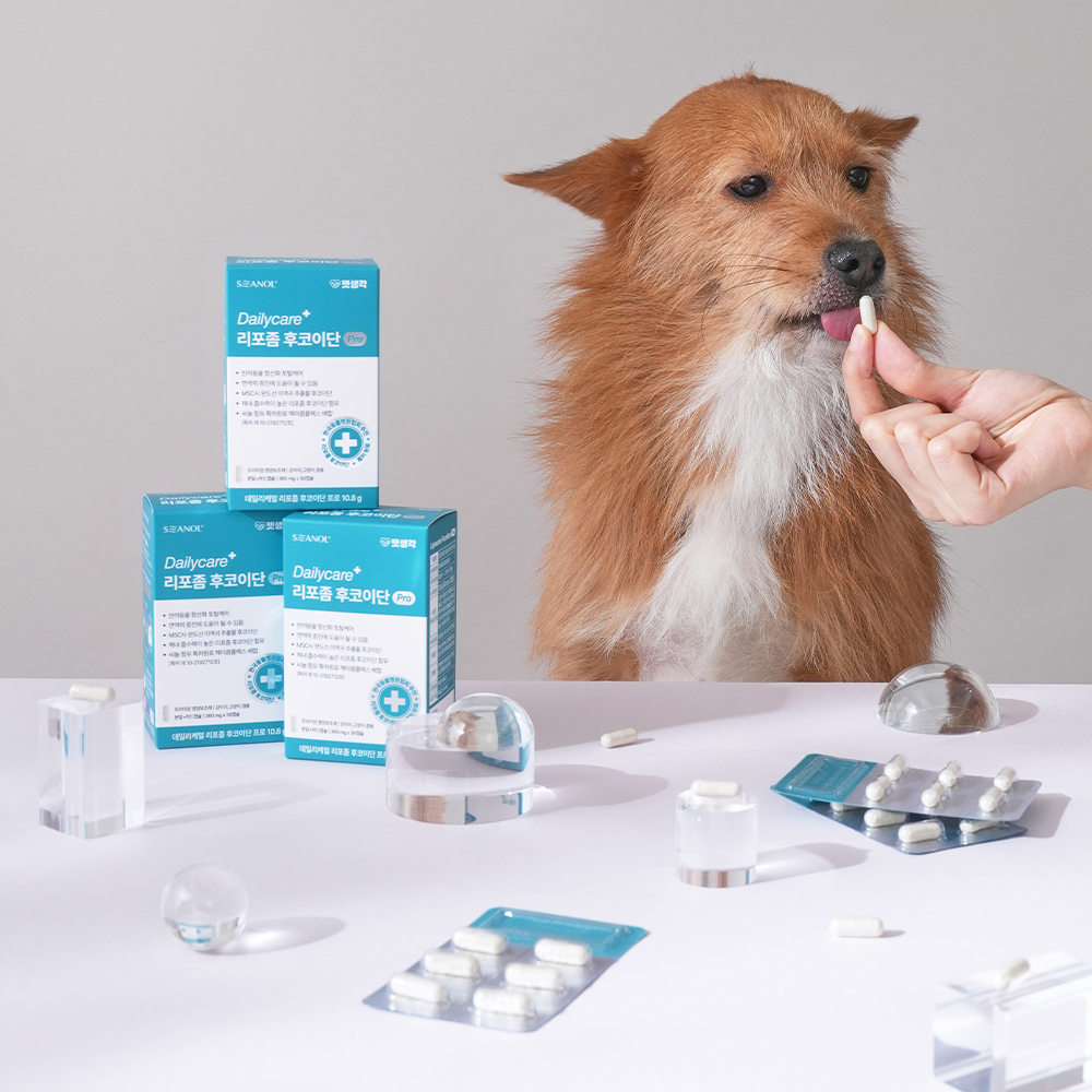 펫생각 리포좀 후코이단 프로 강아지 종합 영양제 항산화제 심장 종양 면역 30정, 1개 - 상세 이미지 4