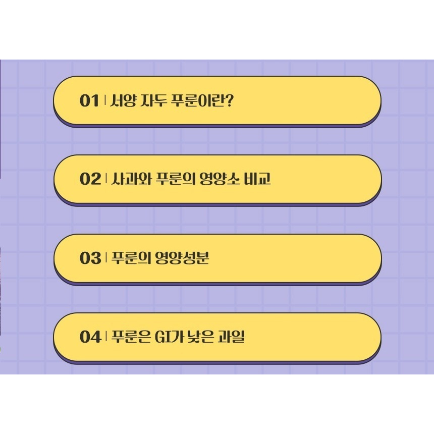 튀르키예산 100% 푸룬 착즙액 푸른주스 - 상세 이미지 4