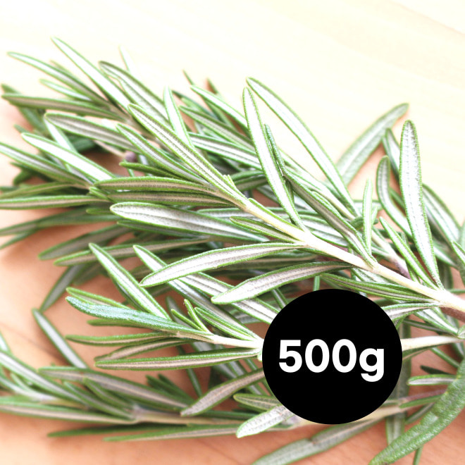 生 허브 로즈메리국내산 약500G Fresh Rosemary : 미트팬트리