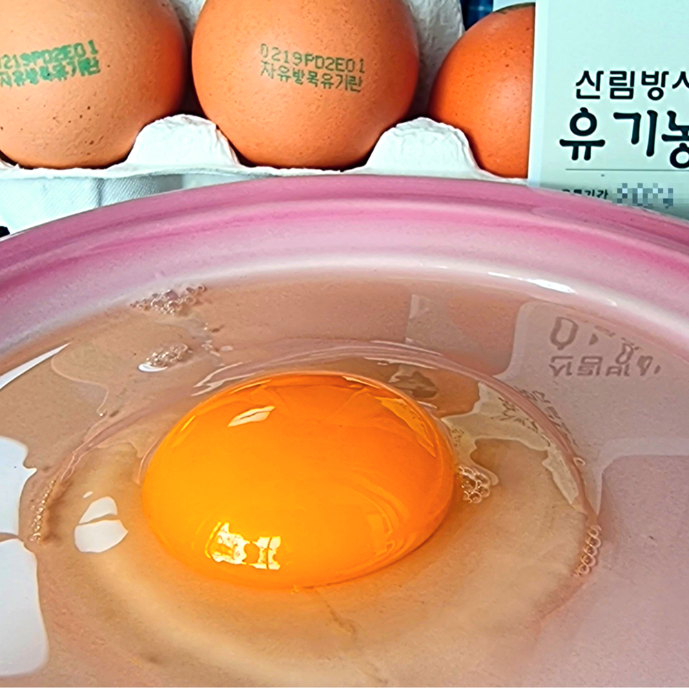 산들프레시- 횡성 산림농원 '초란' 유기농 유정란, 자연방사 난각번호1번 40구, 1개 - 상세 이미지 5