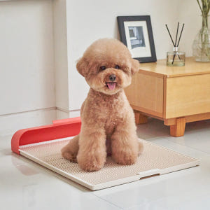 모노모그 스윙배변판 무한 연장 중대형 강아지 배변판 (배변받이 미포함) 솔직 후기 | 실제 사용자 리뷰 총정리 - 상품 이미지 1