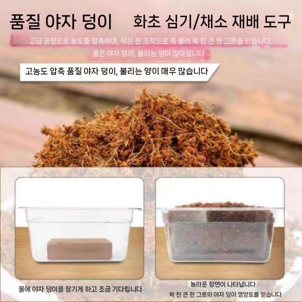 저염 장식 어항돌 삼태기 모래 압축블럭 자갈 거름망 배양토 화분돌 고발효 분갈이 조경석 1개 - 상세 이미지 3