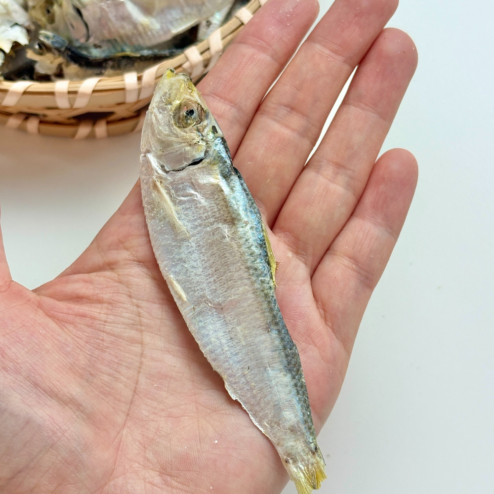 국산 남해 디포리 밴댕이 육수용 국물용 국물멸치 400g, 1개 - 상세 이미지 3