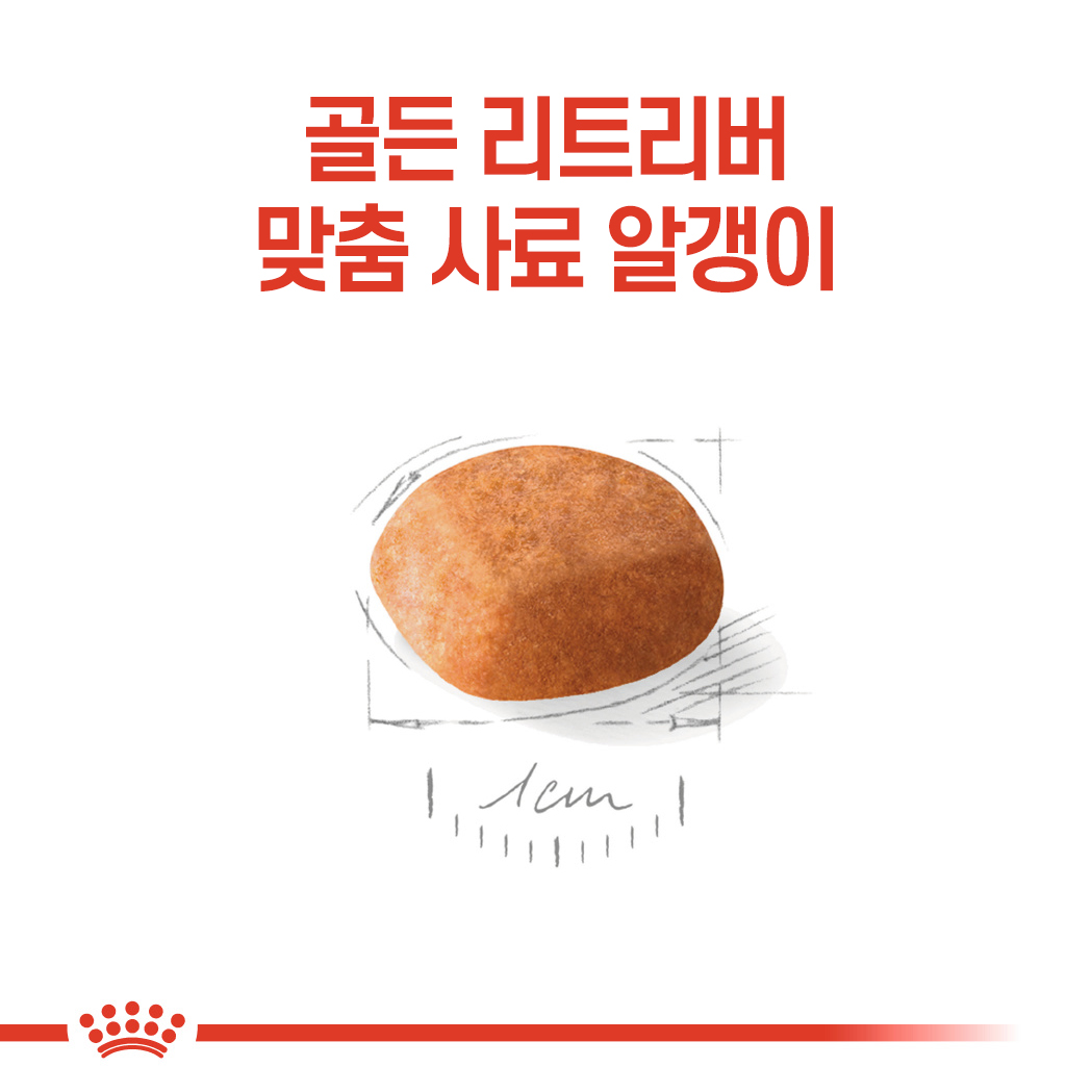 [유통기한 2026.06.05] 로얄캐닌 독 골든 리트리버 퍼피, 12kg, 1개