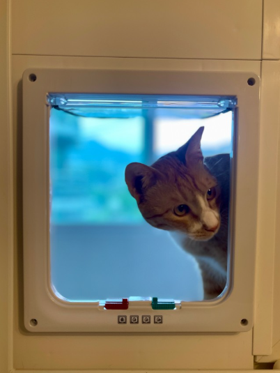 키즈온더블럭 펫도어 견문 강아지 고양이 안전문 베란다 펫도어 시공 미니