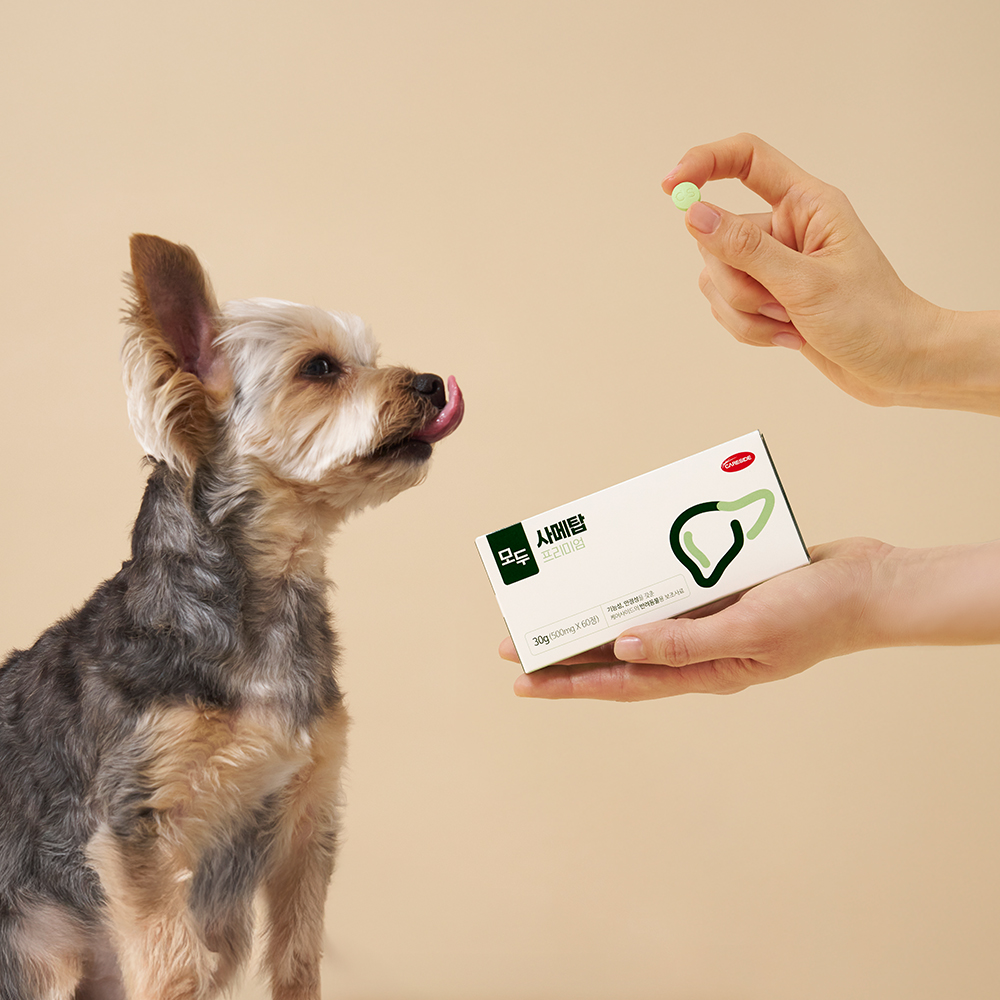 케어사이드 모두 사메탑 60정 간 보조제 제품 이미지