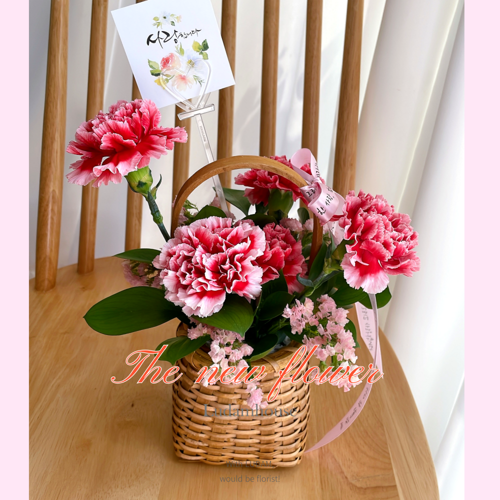 카네이션 만들기 미니 바구니 diy 꽃배달 생화 꽃 꽃집 꽃배달싼곳 화훼농가돕기 선물 - 메인 이미지