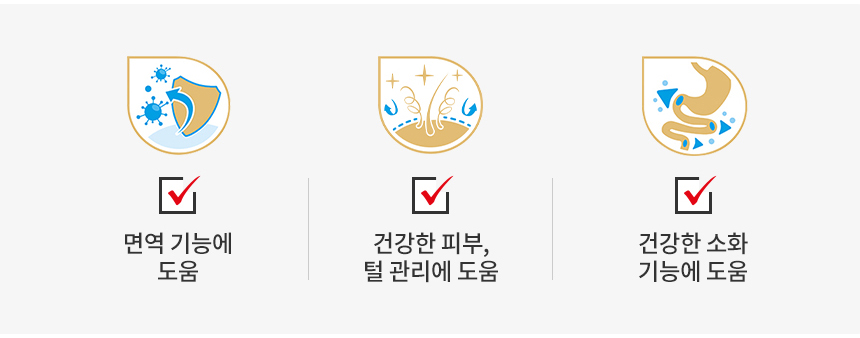 [유통기한 2026.06.05] 로얄캐닌 독 골든 리트리버 퍼피, 12kg, 1개