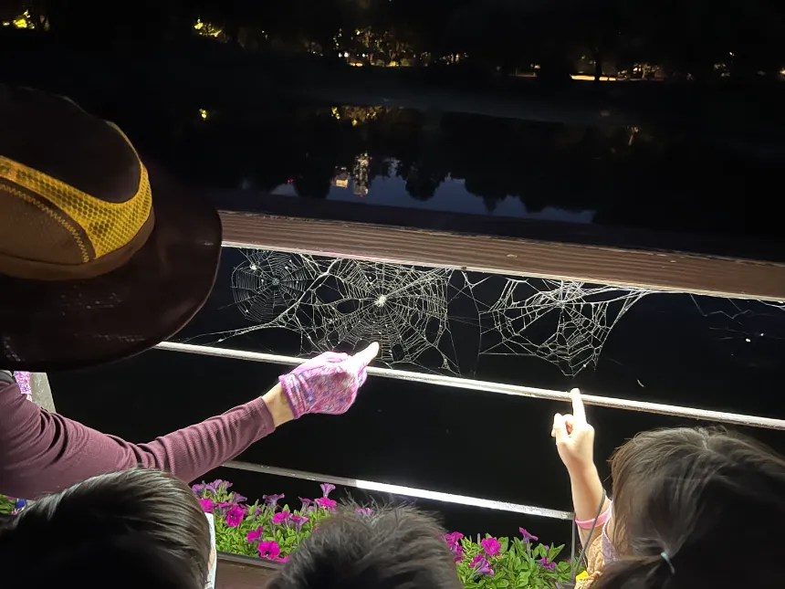 [깨비의숲마을][소수정예 프라이빗] 서울 경기 인천 숲체험 어린이 겨울 유아 초등 자연 곤충 주말 체험 학습