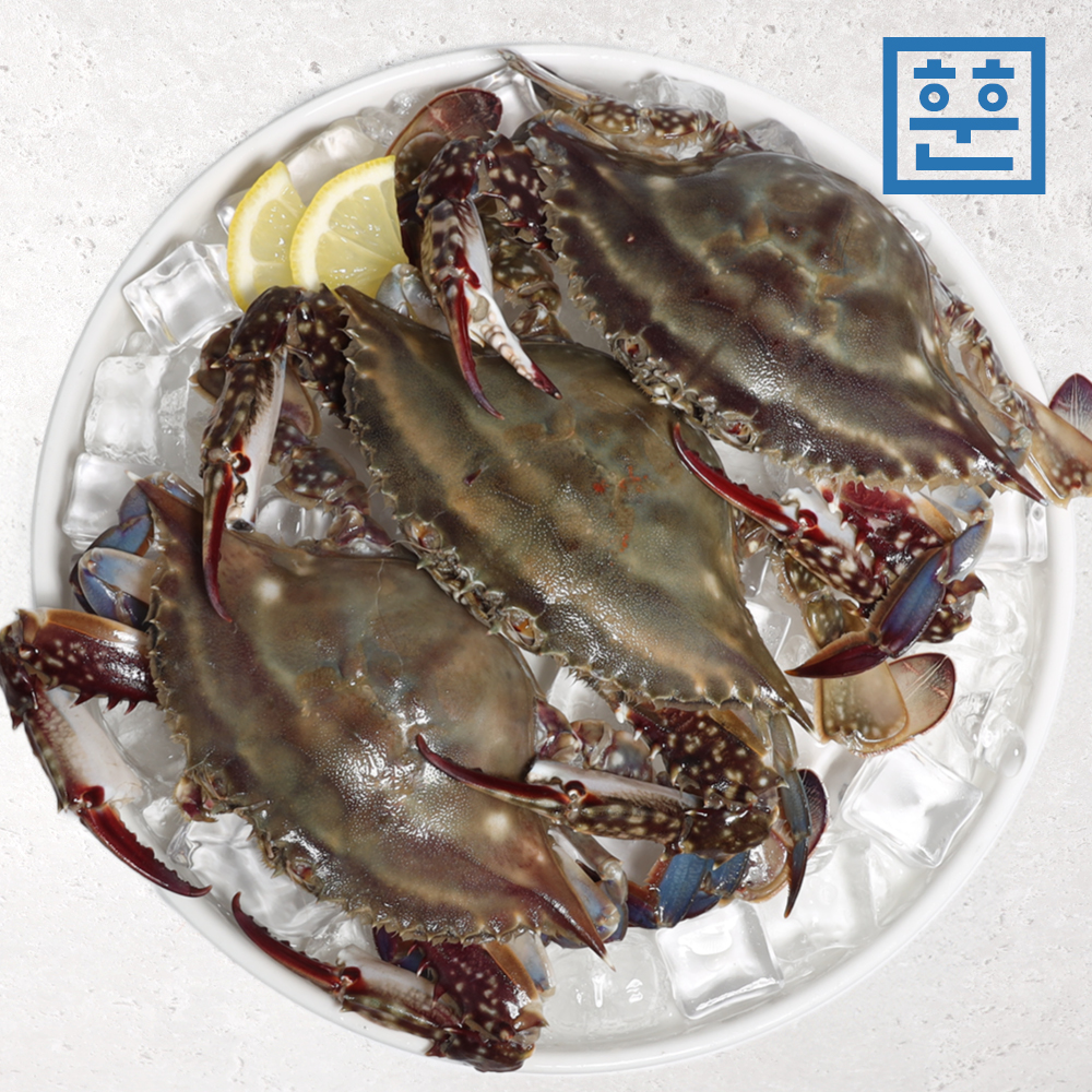 봄 꽃게 가을 꽃게 활꽃게 보관법 꽃게 맛있게 먹는법 제철 꽃게 리뷰