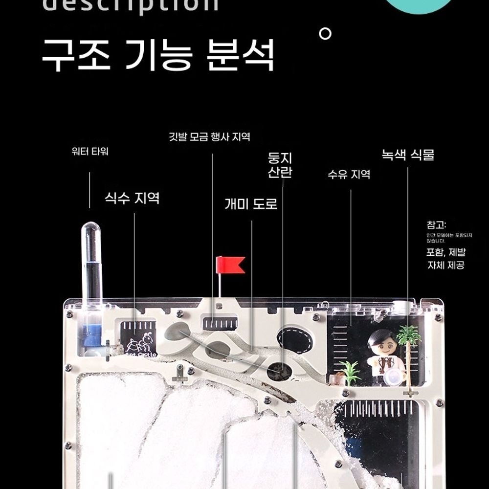 개미 키우기 관찰 키트 세트 s11 - 상세 이미지 3