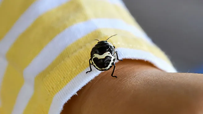 [깨비의숲마을][소수정예 프라이빗] 서울 경기 인천 숲체험 어린이 겨울 유아 초등 자연 곤충 주말 체험 학습