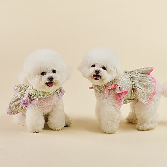 울리 플레르 하네스 세트 하네스옷 강아지 가슴줄