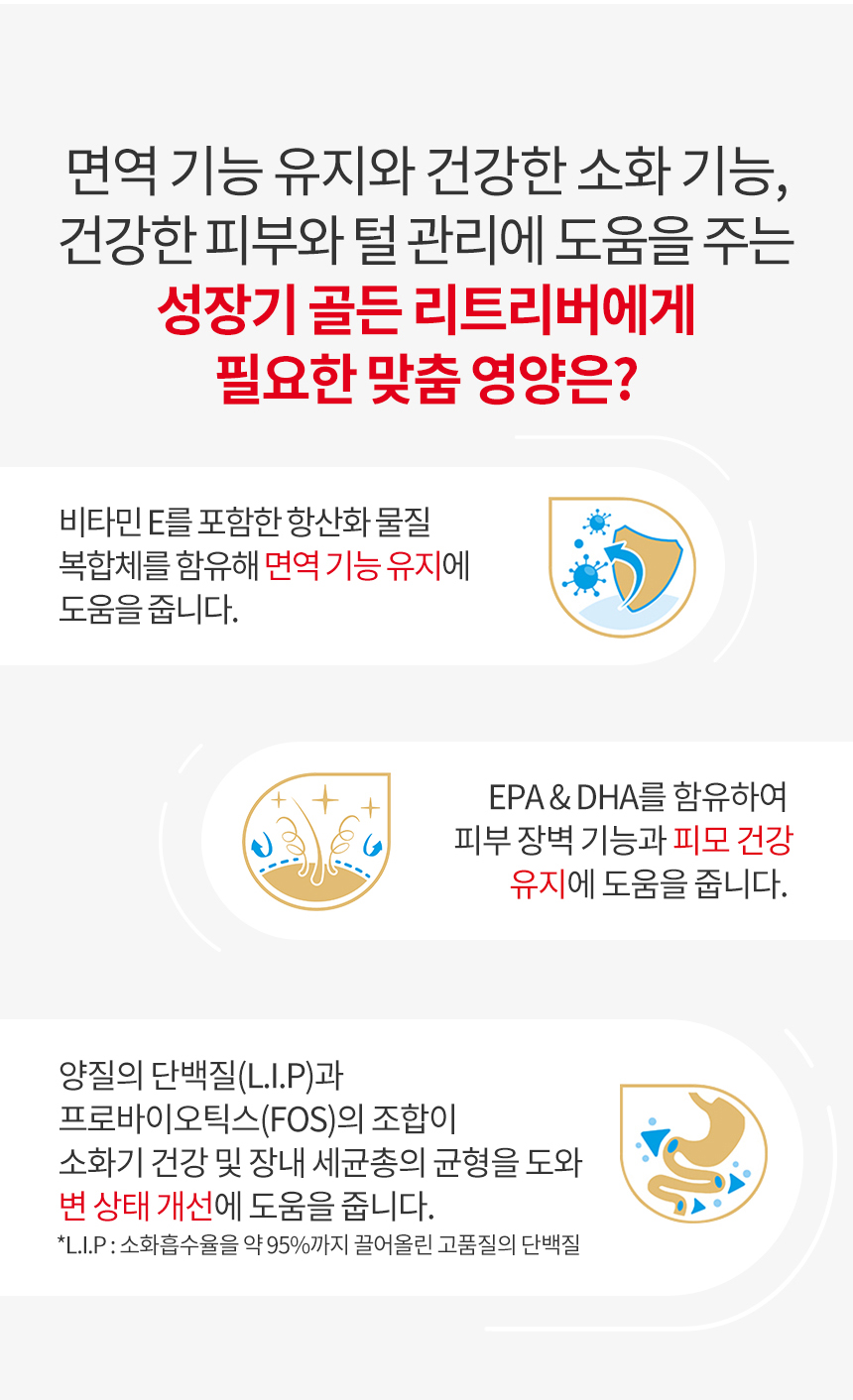 [유통기한 2026.06.05] 로얄캐닌 독 골든 리트리버 퍼피, 12kg, 1개