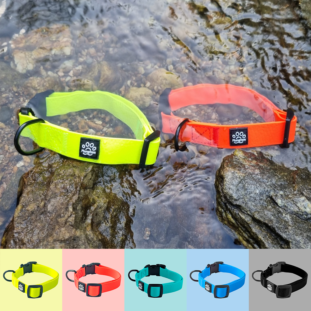 강아지 목줄 방수 소형견 XS
