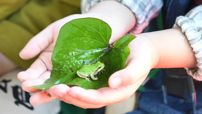[깨비의숲마을][소수정예 프라이빗] 서울 경기 인천 숲체험 어린이 겨울 유아 초등 자연 곤충 주말 체험 학습