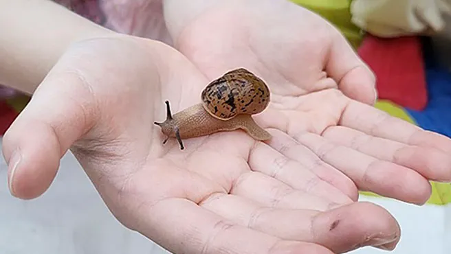 [깨비의숲마을][소수정예 프라이빗] 서울 경기 인천 숲체험 어린이 겨울 유아 초등 자연 곤충 주말 체험 학습