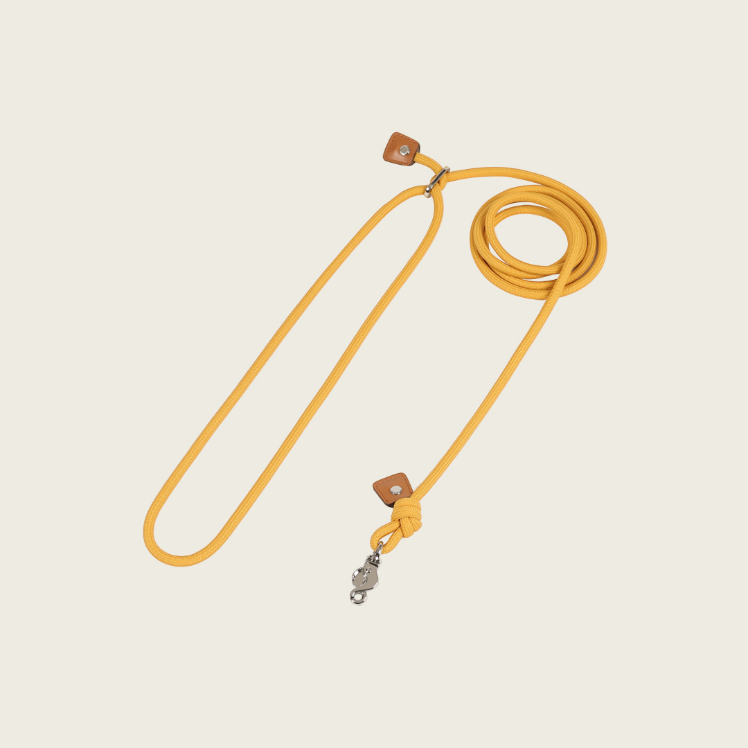 호지 에센셜 핸즈프리 강아지 핸즈프리 리드줄 S 반려견 애견 반려동물 산책줄 리쉬 목줄