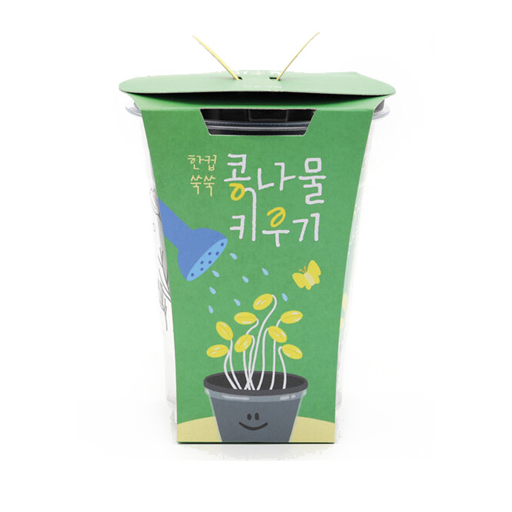 콩나물 키우기 키트 어린이집 유치원 콩나물 기르기 (관찰일지 포함) - 상세 이미지 2