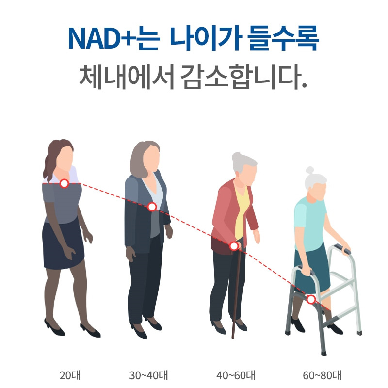 리포좀 NMN 파워 브로콜리 추출분말 효능 엔엠엔 1000mg x 90정 이미지 7