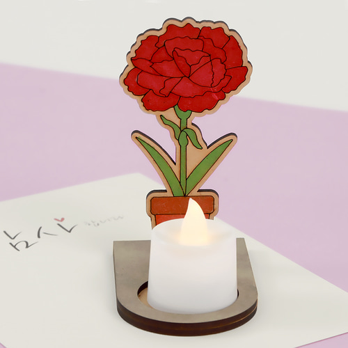 카네이션 화분 팬시우드 무드등 만들기 diy 가정의달 키트 패키지 - 상품 이미지