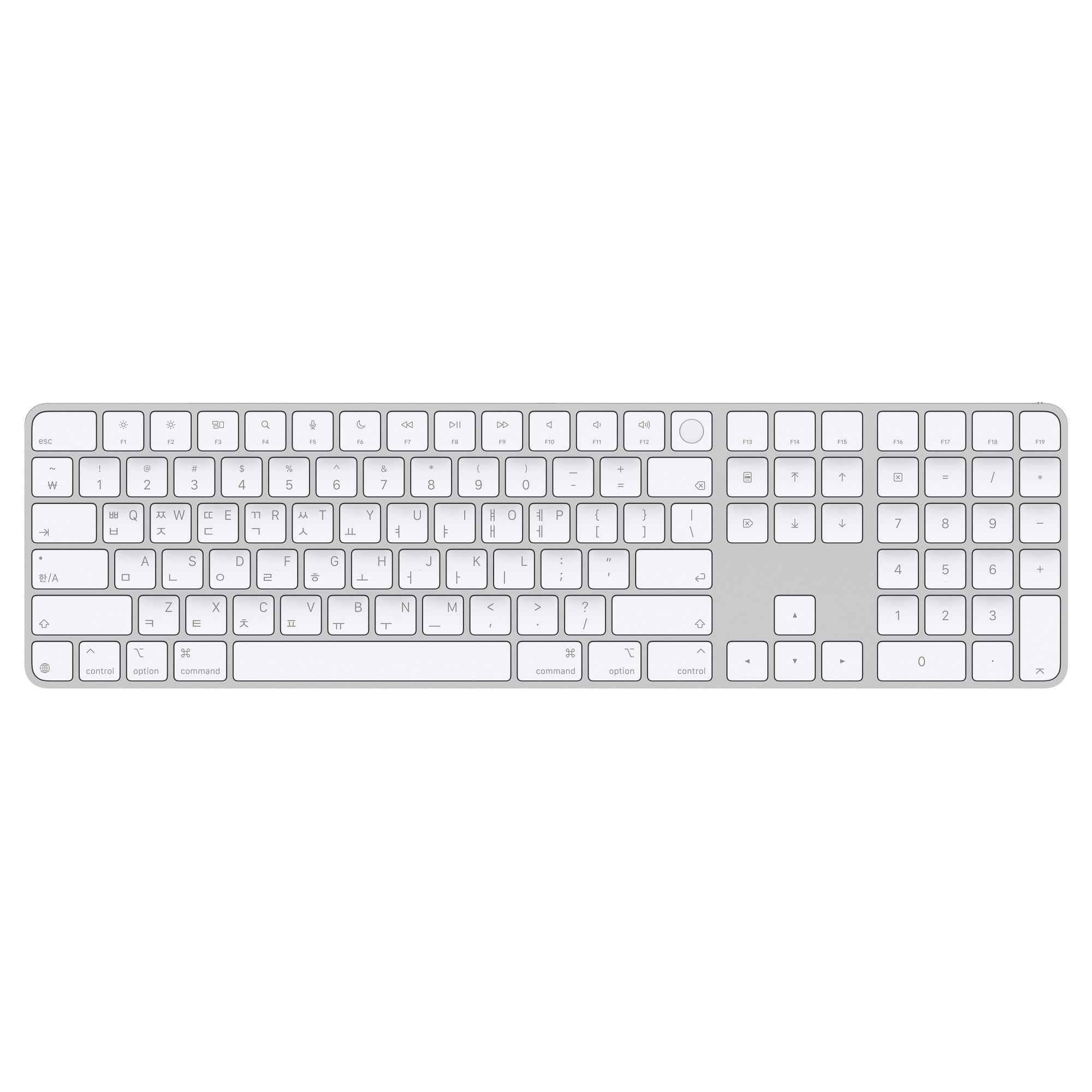 [카드할인] Apple 정품 매직 키보드 (Touch ID / 숫자 키패드 탑재 / 화이트 키) MXK73KH/A - 상품 이미지