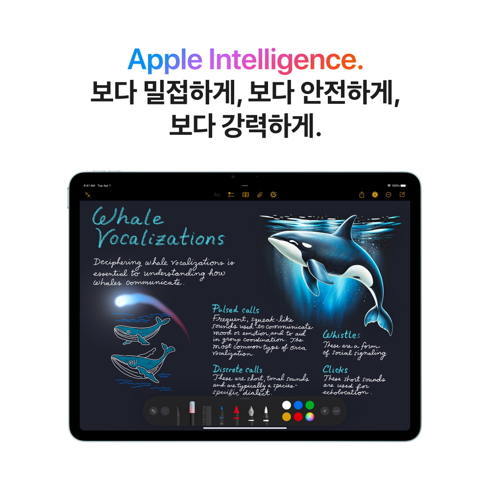 애플 아이패드 에어 11 M3 스페이스그레이 직장인 업무용 선택 시 고려할 점은 무엇일까