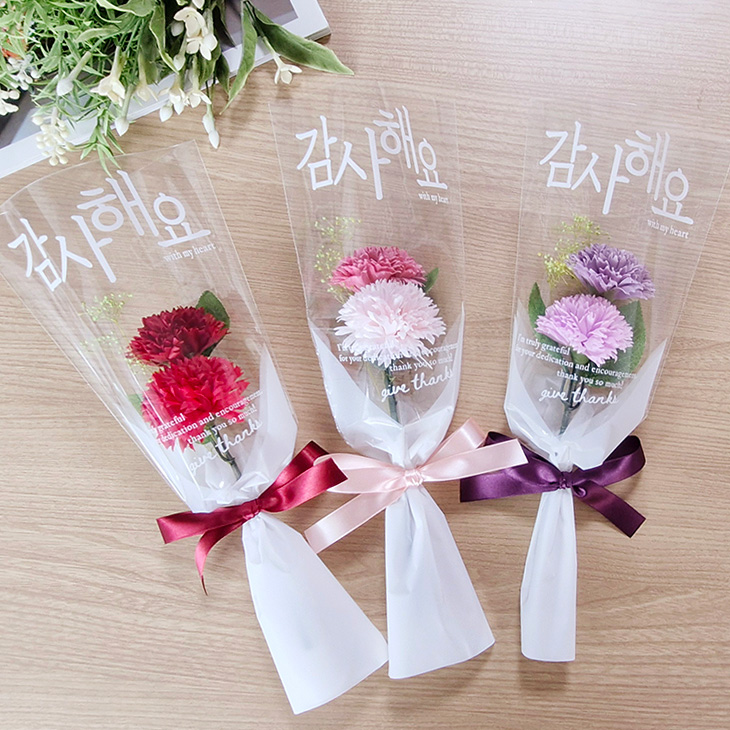카네이션 꽃다발, 두송이 카네이션, 어버이날, 스승의날 꽃선물, 미니꽃다발 - 상품 이미지