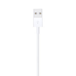 애플 정품 케이블 라이트닝-USB, 1개, 1m 개봉기 | 실사용 후기 - 상품 이미지 4