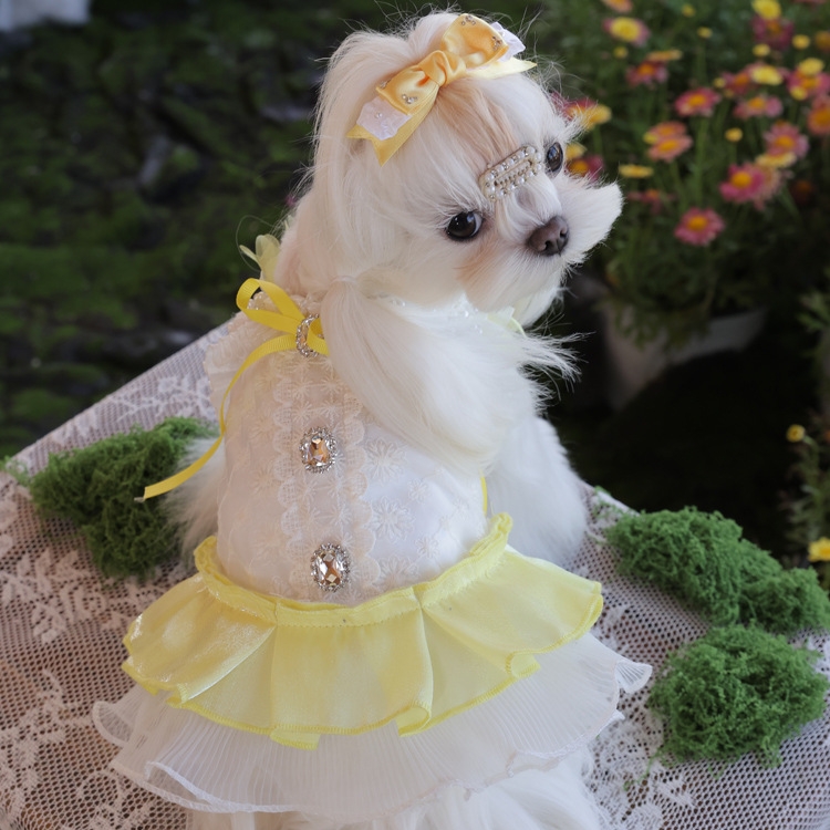 🎀티파티룩 리본 크리스탈 트위드 드레스