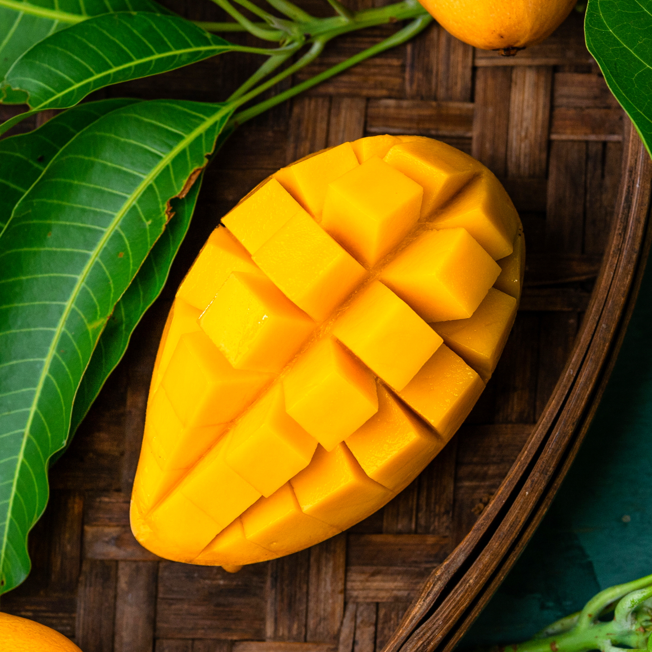 골드 망고 남독마이 마하차녹 최상품