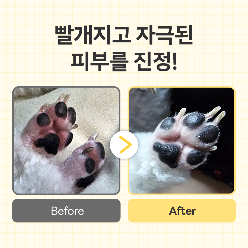 바이랩 스킨케어 강아지 피부 연고 보습제 피부병 까짐 습진 각질 로션 15ml, 1개 이미지 3