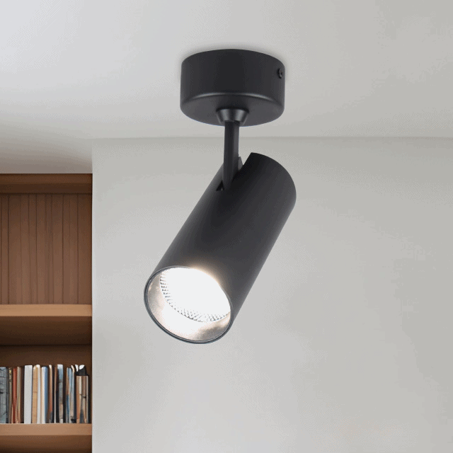 더쎈 LED 원형 카네스 1등 직부등 회전 COB 20W 2color 거실 주방 침실 카페 매장 조명 - 상품 이미지
