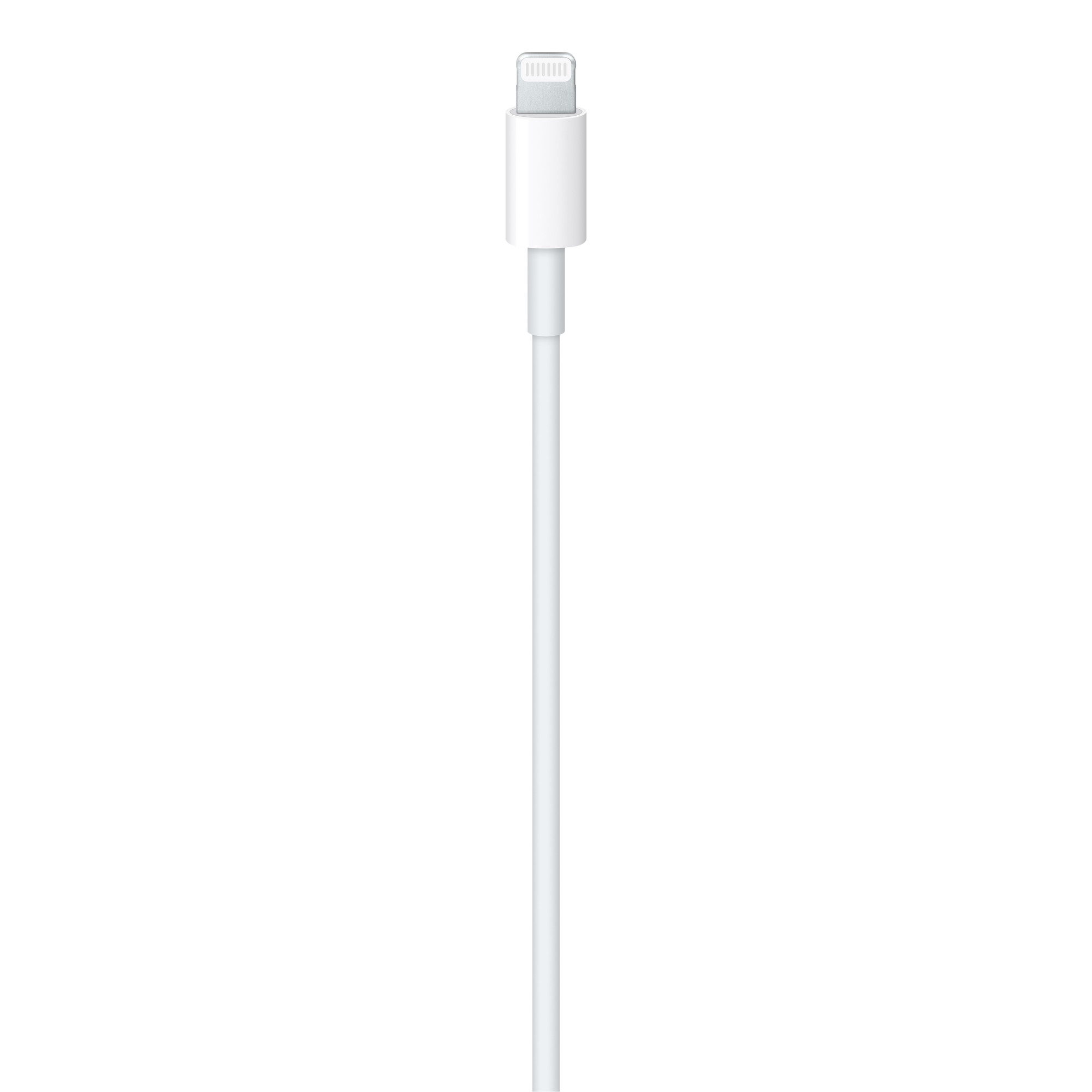 애플 정품 케이블 USB-C to 라이트닝, 1개, 2m 이미지 3