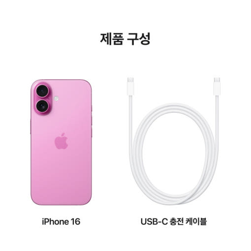 1. Apple 아이..