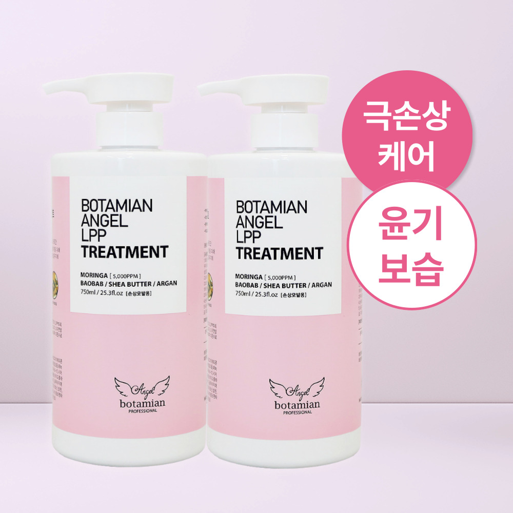 보타미안엔젤 LPP 트리트먼트 극손상 단백질 헤어팩 머리 영양제 과일, 750ml, 2개