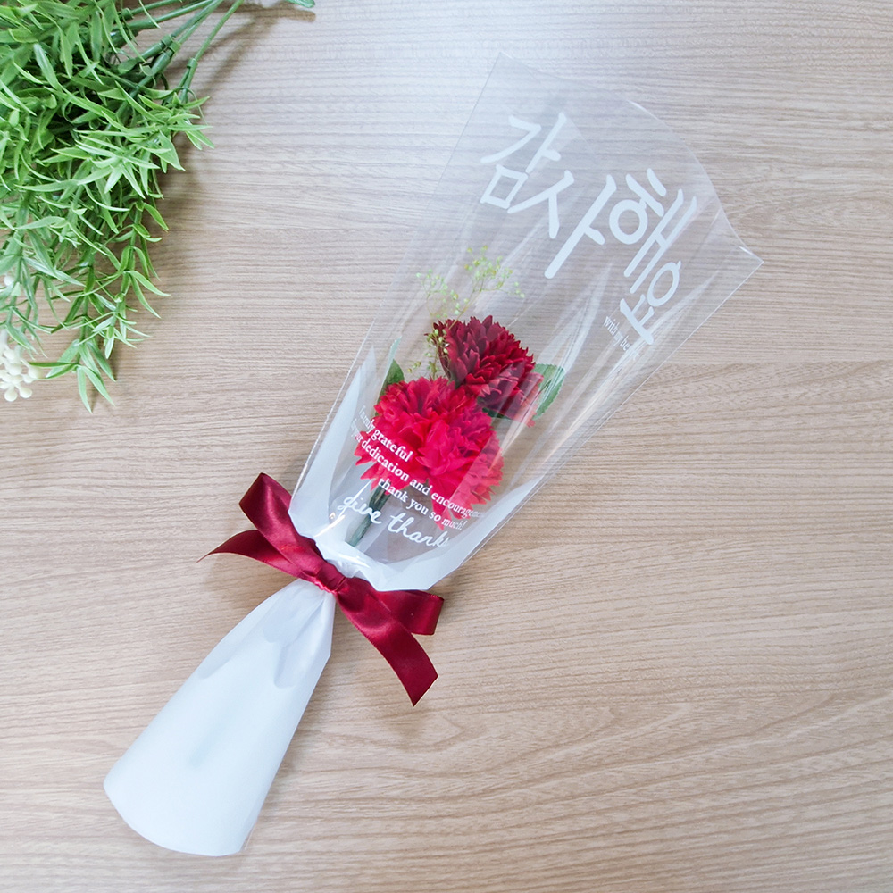 카네이션 꽃다발, 두송이 카네이션, 어버이날, 스승의날 꽃선물, 미니꽃다발 - 상세 이미지 2