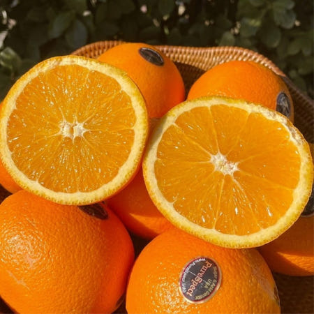 블랙라벨 네이블 오렌지 17kg L