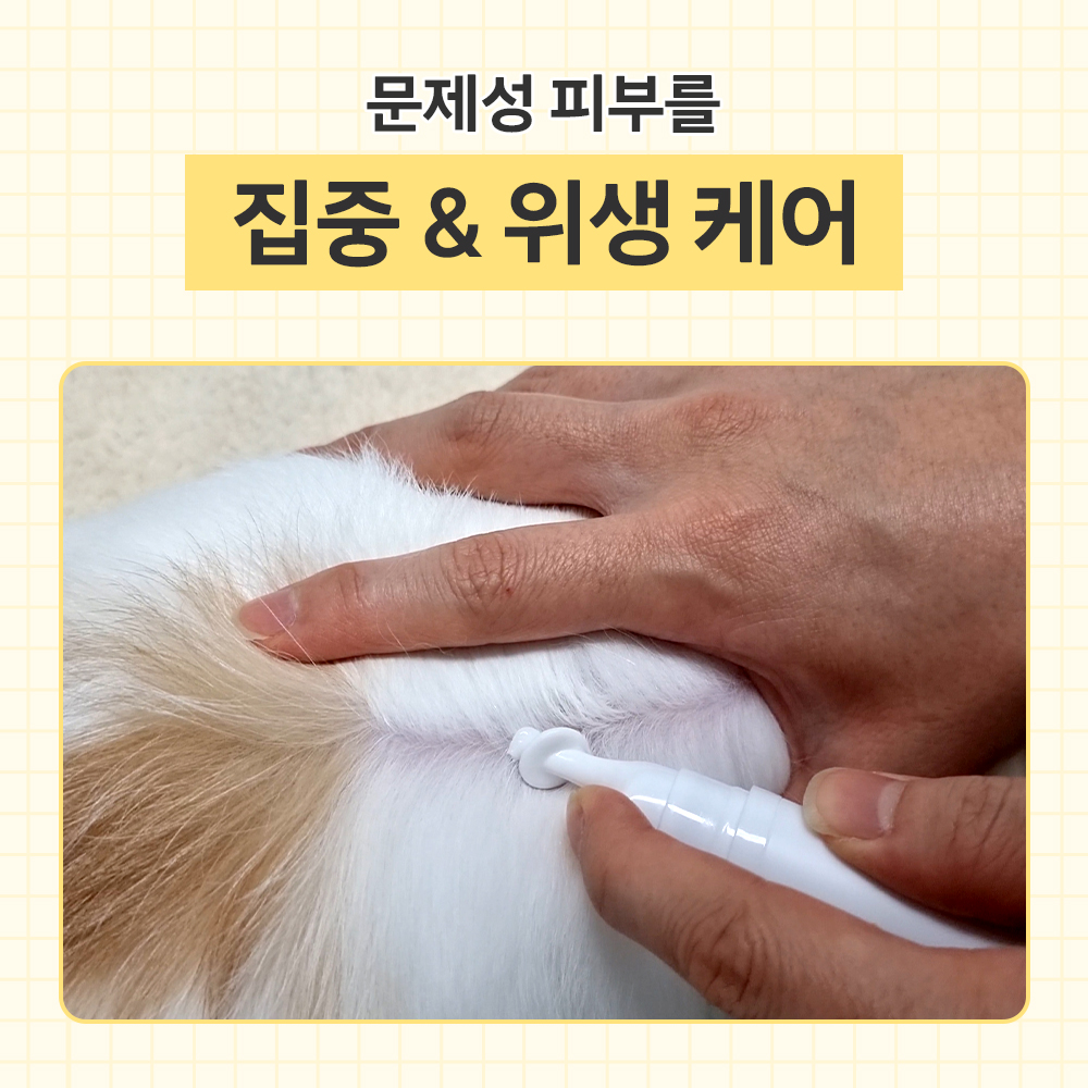 바이랩 스킨케어 강아지 피부 연고 보습제 피부병 까짐 습진 각질 로션 15ml, 1개 이미지 2