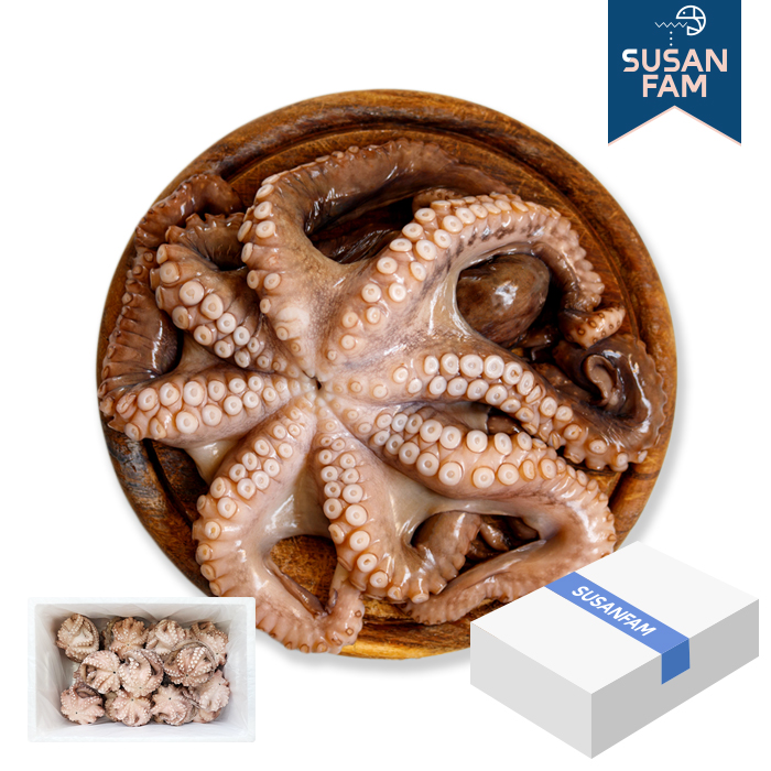 세척문어 문어홀클린 10kg 모리타니아 박스 냉동 손질문어 돌문어