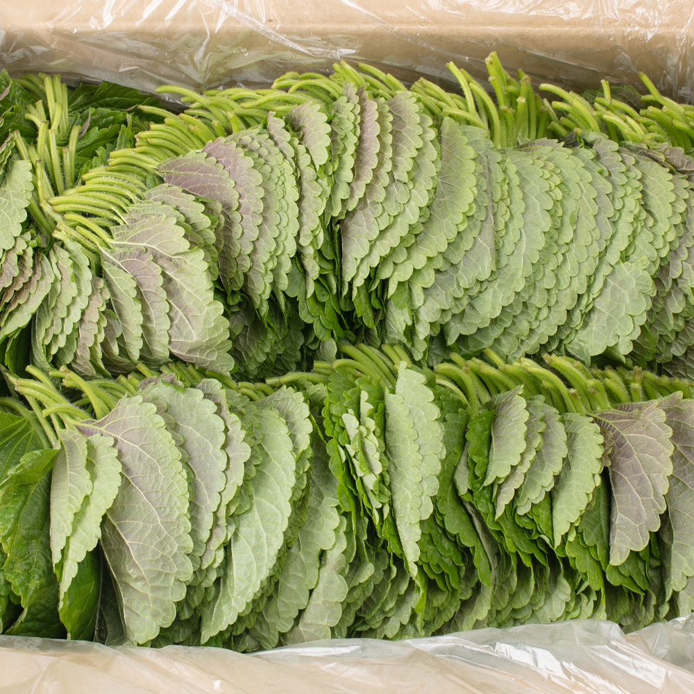 업소용 대용량 식자재 찹찹이 깻잎 1kg, 1개 : 그램원