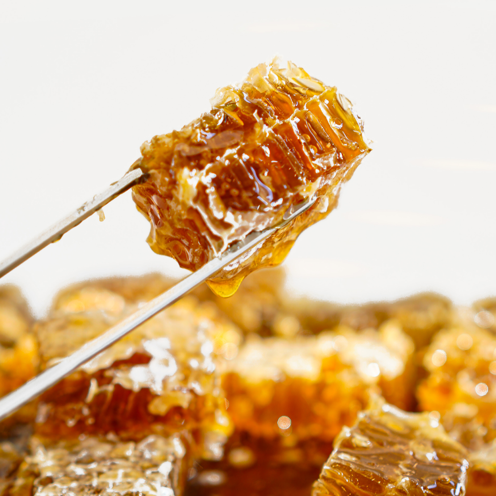 사랑벌꿀 프리미엄 벌집꿀 업소용 토핑 벌꿀집 500g, 1개