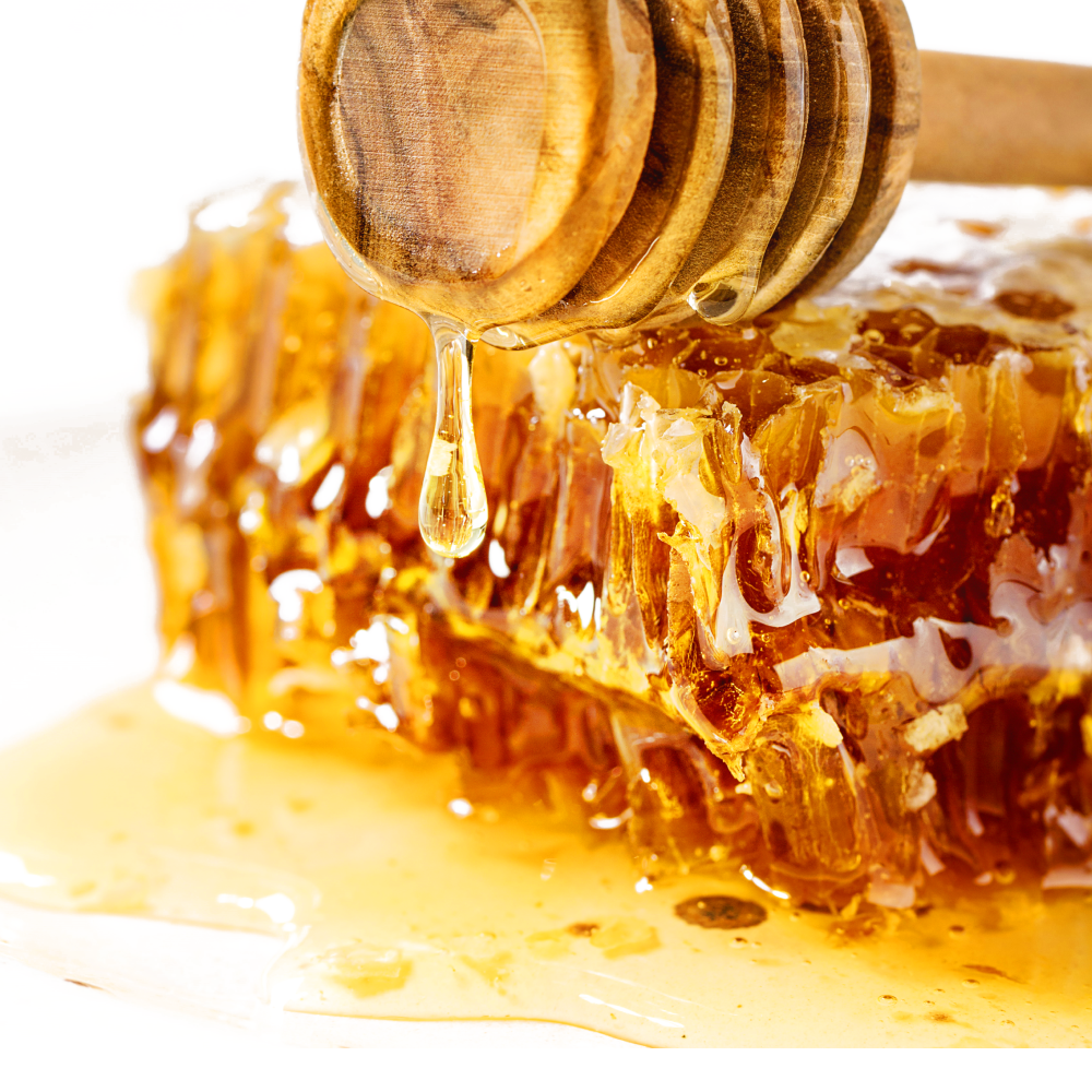 사랑벌꿀 프리미엄 벌집꿀 업소용 토핑 벌꿀집 500g, 20개