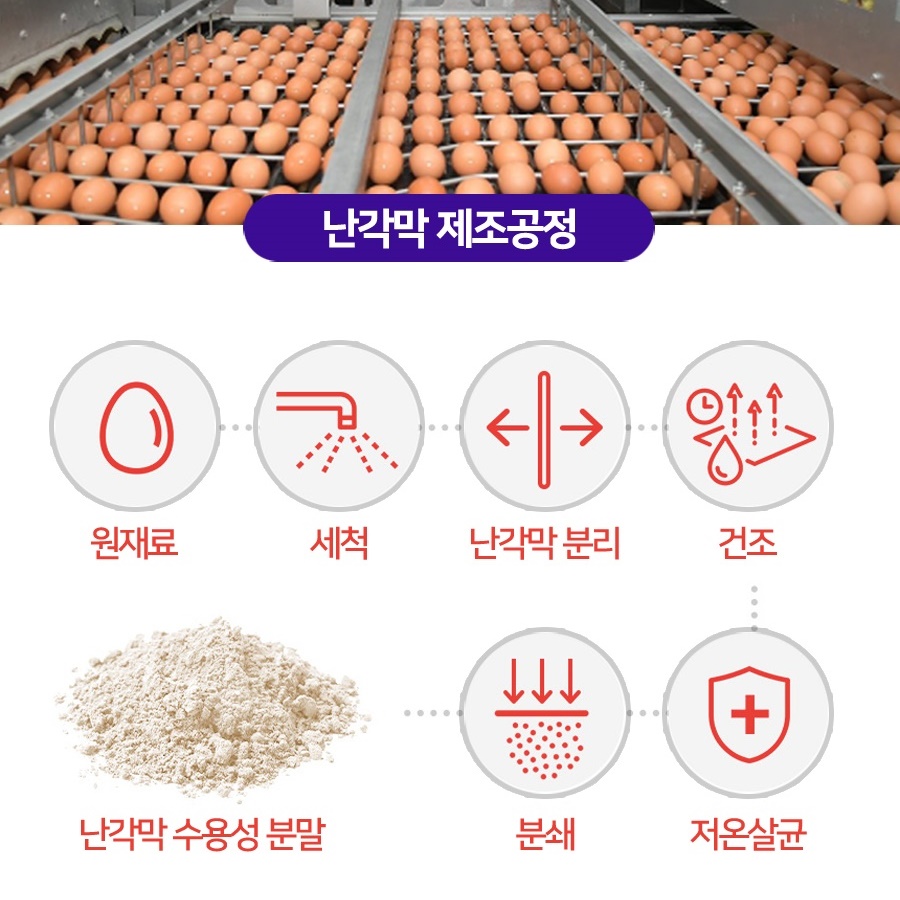 난각막 가수분해물 엘라스틴 콘드로이친 수용성분말 600mg 60정, 3개 - 상세 이미지 4