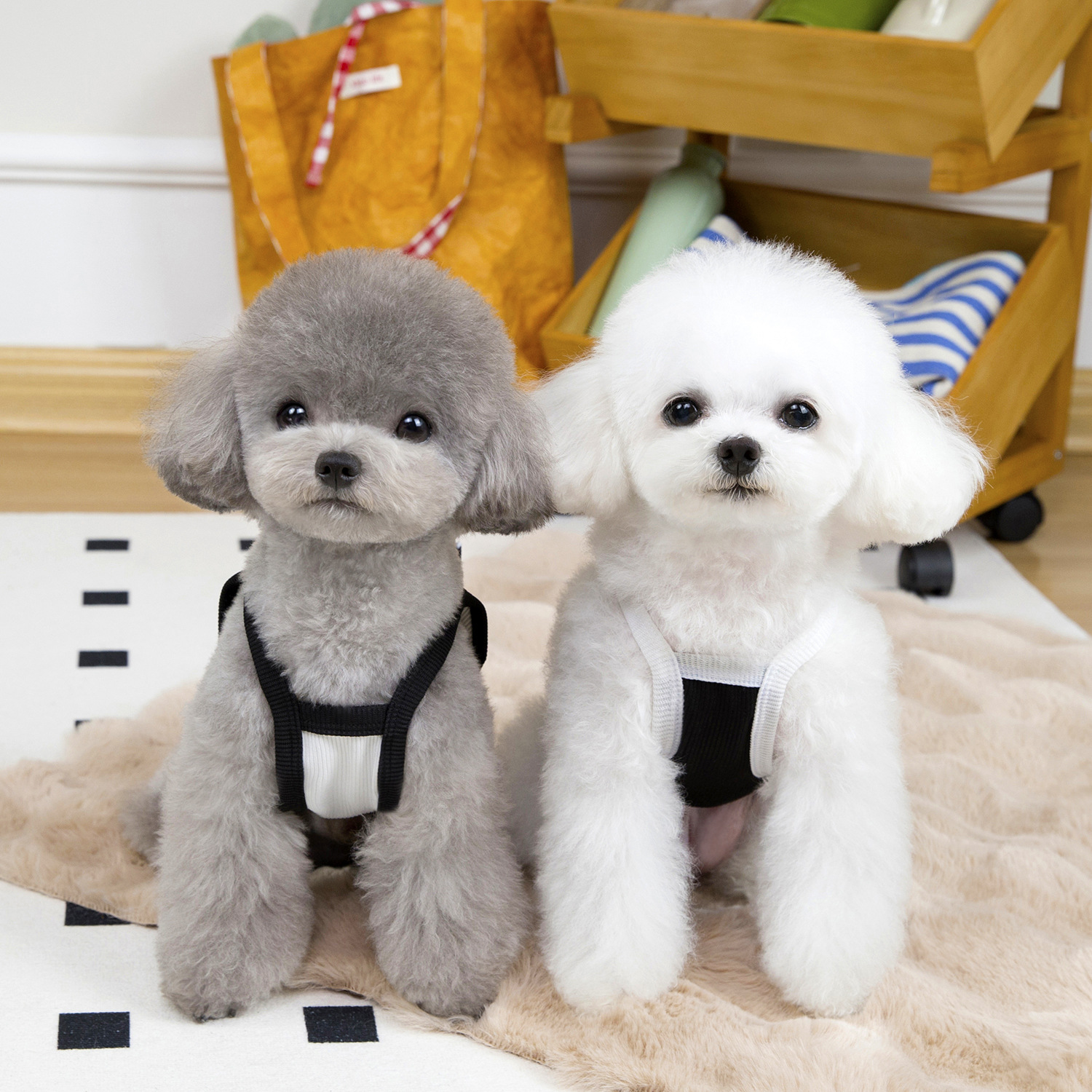 1006/강아지 고양이 리본 블랙앤화이트 여름 민소매 리본 나시티 4계절 실내옷(1+1) - 상세 이미지 3
