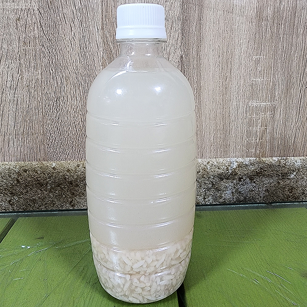 [거제시 배달] 시원한 식혜 500ml [거제고현 사계절왕호떡] : 동네시장 장보기