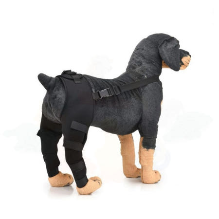 슬개골 보호대 강아지  양다리 보호 무릎 탈구방지