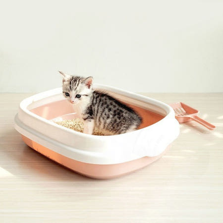 고양이 화장실 배변통 모래 실내 위생 청결 사막형 쾌적